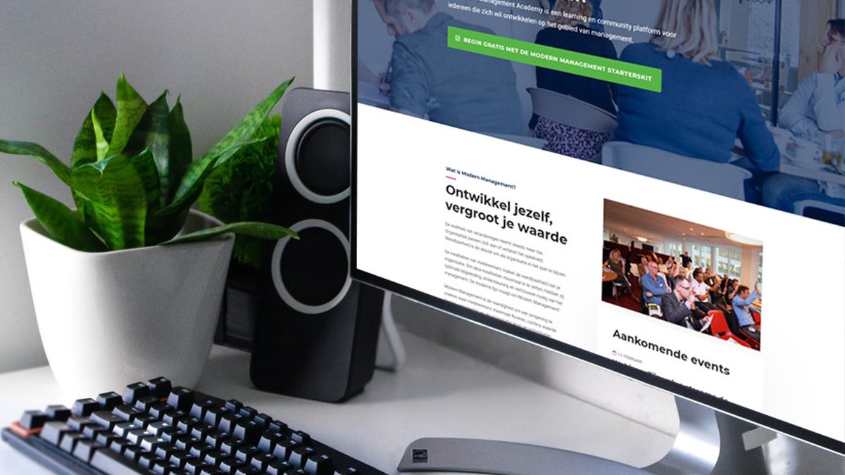 Het werk dat Soowiesoo maakte voor Modern Management Academy