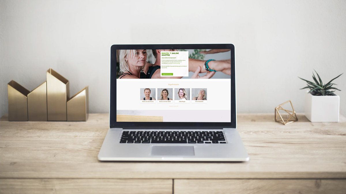 Het werk dat Soowiesoo maakte voor YogaTrainer